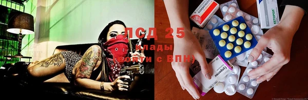 дмт Заводоуковск