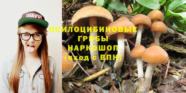 мяу мяу мука Заволжск