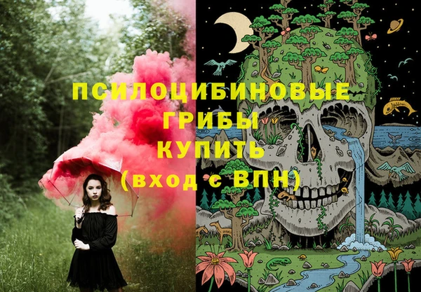 мяу мяу мука Заволжск