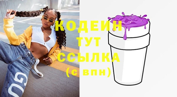 дмт Заводоуковск