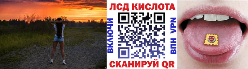где можно купить наркотик  Камышлов  Наркотические марки 1,8мг 