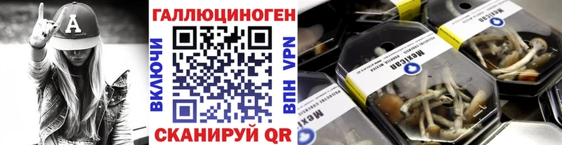 Псилоцибиновые грибы мухоморы Камышлов